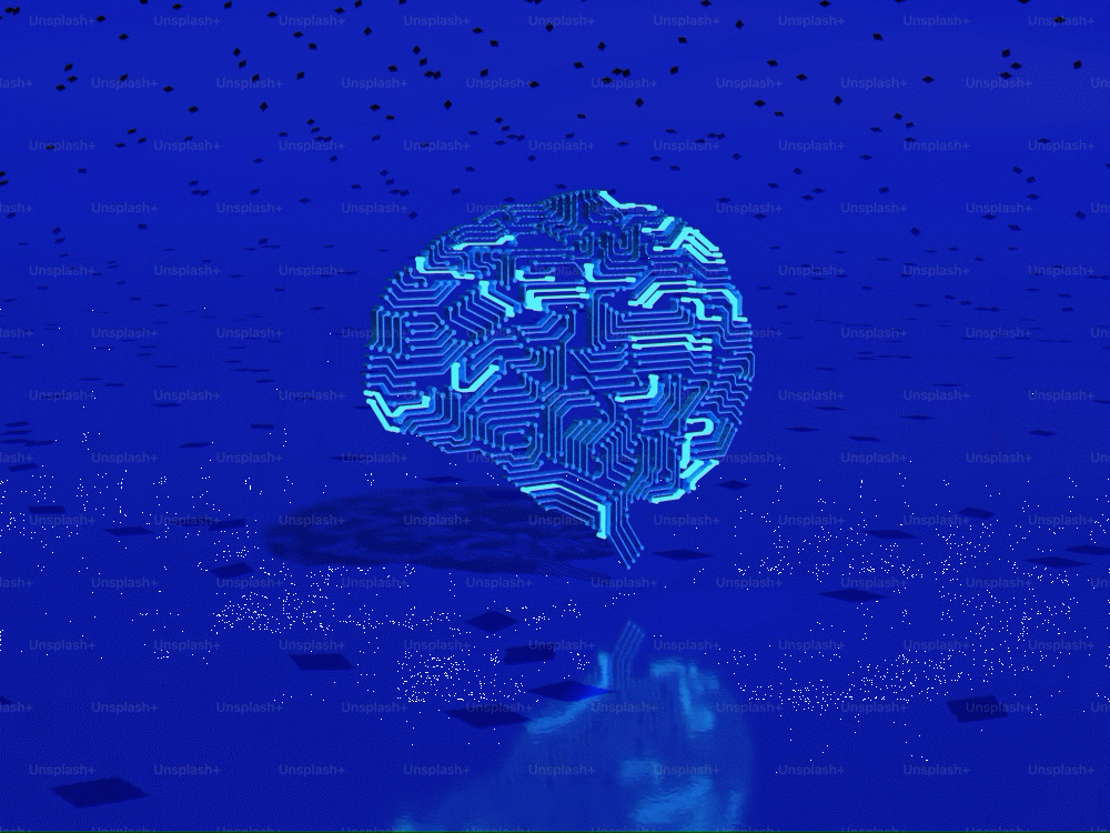 orbit training coaching Breindiversiteit 2